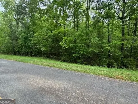 358 Mccommon Rd, Forsyth, GA 31029 photo 13