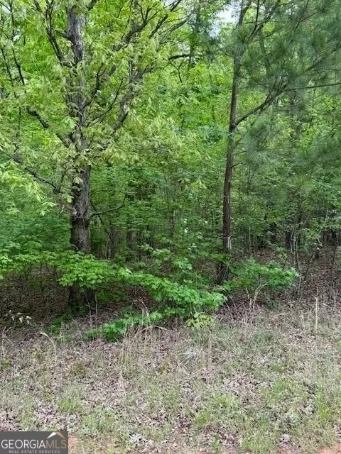 358 Mccommon Rd, Forsyth, GA 31029 photo 11