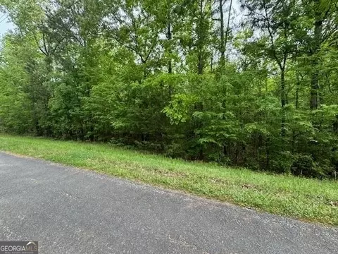 358 Mccommon Rd, Forsyth, GA 31029 photo 10