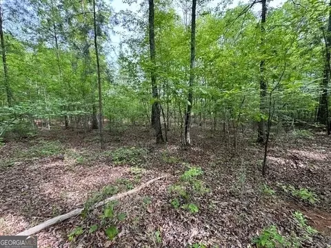 358 Mccommon Rd, Forsyth, GA 31029 photo 6