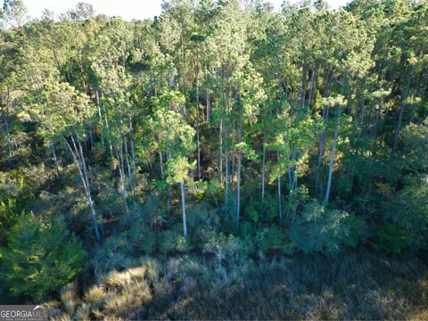 0 W Marsh Way, Townsend, GA 31331 photo 11