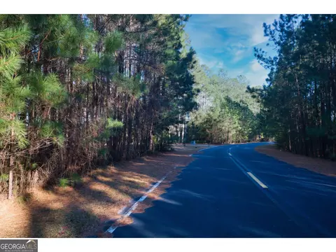 0 W Marsh Way, Townsend, GA 31331 photo 10