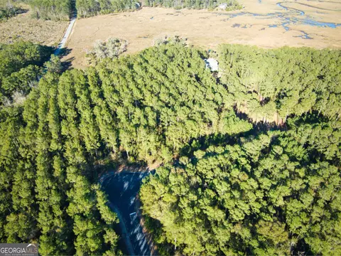 0 W Marsh Way, Townsend, GA 31331 photo 21