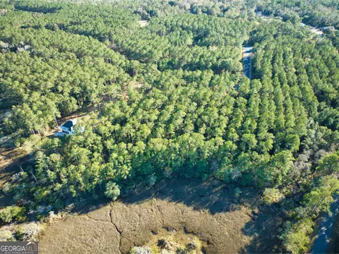 0 W Marsh Way, Townsend, GA 31331 photo 17
