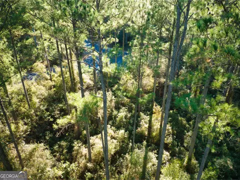 0 W Marsh Way, Townsend, GA 31331 photo 14