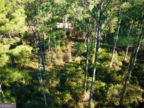0 W Marsh Way, Townsend, GA 31331 photo 19