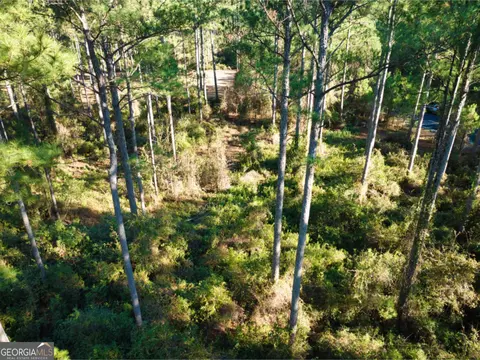 0 W Marsh Way, Townsend, GA 31331 photo 13