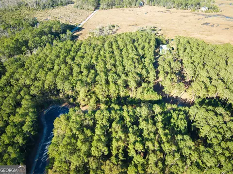 0 W Marsh Way, Townsend, GA 31331 photo 15