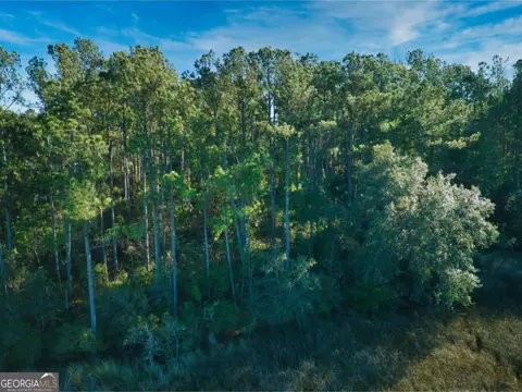 0 W Marsh Way, Townsend, GA 31331 photo 4