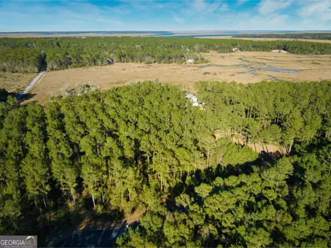 0 W Marsh Way, Townsend, GA 31331 photo 7