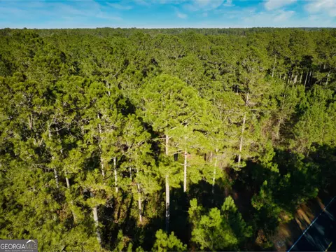 0 W Marsh Way, Townsend, GA 31331 photo 6