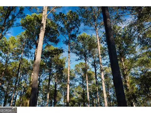 0 W Marsh Way, Townsend, GA 31331 photo 16