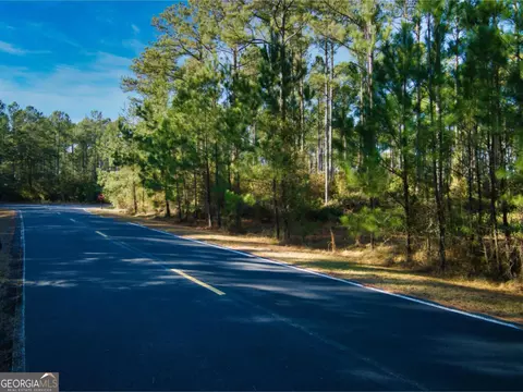0 W Marsh Way, Townsend, GA 31331 photo 5