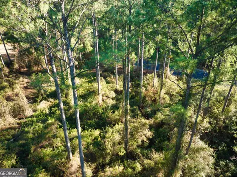 0 W Marsh Way, Townsend, GA 31331 photo 20