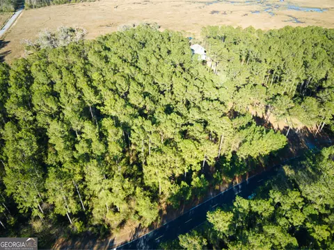 0 W Marsh Way, Townsend, GA 31331 photo 12