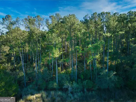 0 W Marsh Way, Townsend, GA 31331 photo 3