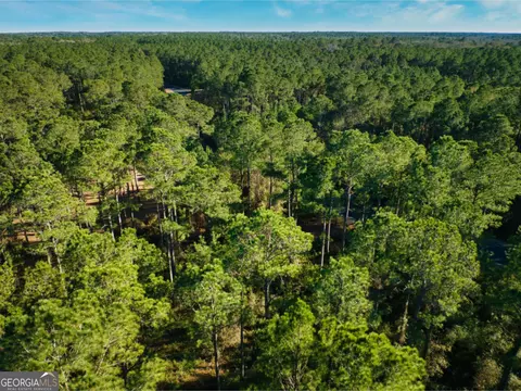 0 W Marsh Way, Townsend, GA 31331 photo 9