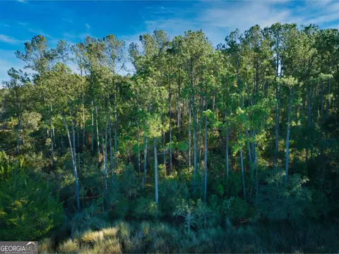 0 W Marsh Way, Townsend, GA 31331 photo 2