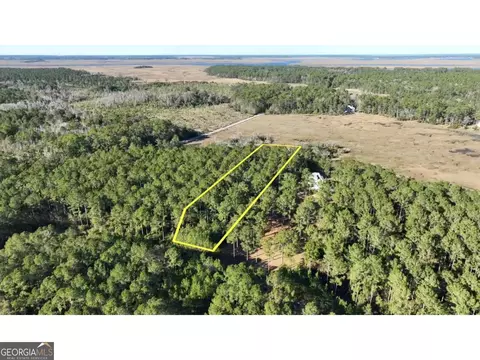 0 W Marsh Way, Townsend, GA 31331