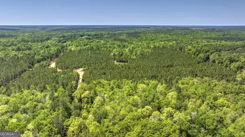 0 Williams Rd, Oglethorpe, GA 31068