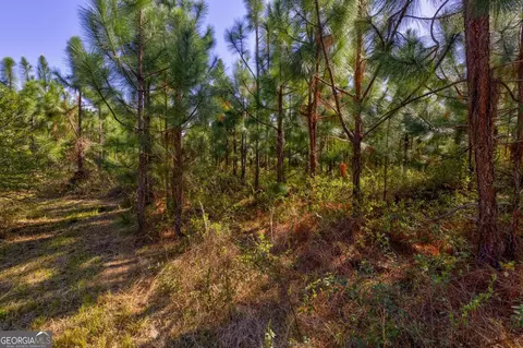 0 Williams Rd, Oglethorpe, GA 31068 photo 10