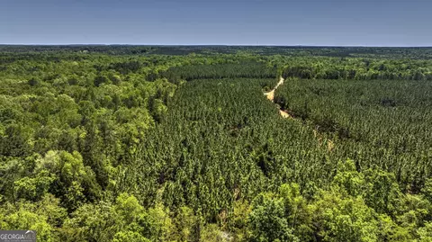 0 Williams Rd, Oglethorpe, GA 31068 photo 7
