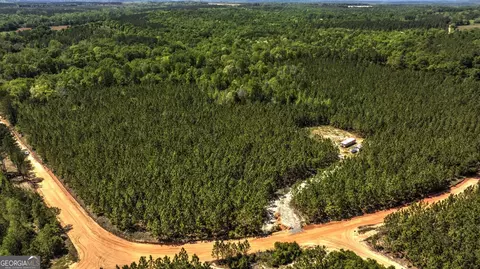 0 Williams Rd, Oglethorpe, GA 31068 photo 2