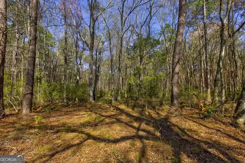 0 Williams Rd, Oglethorpe, GA 31068 photo 11