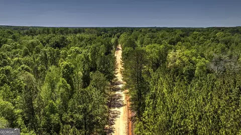 0 Williams Rd, Oglethorpe, GA 31068 photo 6