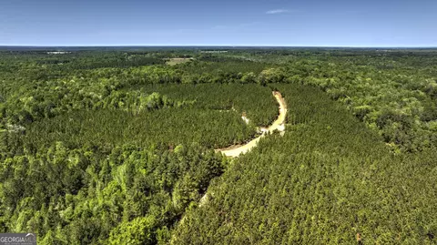 0 Williams Rd, Oglethorpe, GA 31068 photo 3