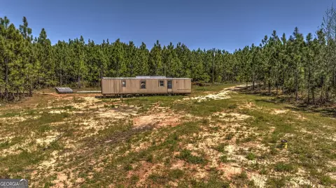 0 Williams Rd, Oglethorpe, GA 31068 photo 9
