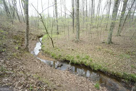 0 Wellington Mill Rd, Whitesburg, GA 30185