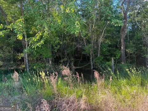 0 Will Smith Rd, Broxton, GA 31519 photo 16
