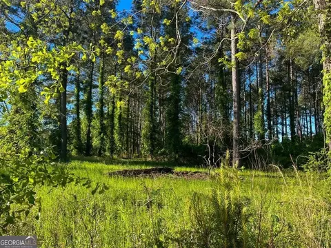 0 Will Smith Rd, Broxton, GA 31519 photo 7