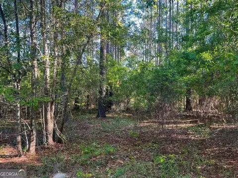 0 Will Smith Rd, Broxton, GA 31519 photo 14