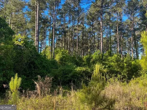 0 Will Smith Rd, Broxton, GA 31519 photo 17
