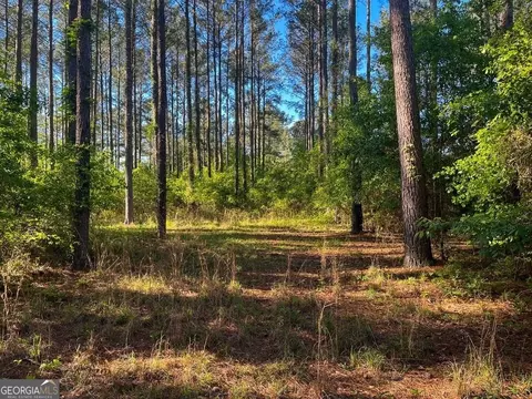 0 Will Smith Rd, Broxton, GA 31519 photo 12