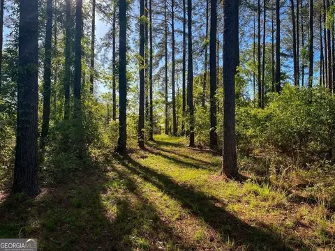 0 Will Smith Rd, Broxton, GA 31519 photo 13