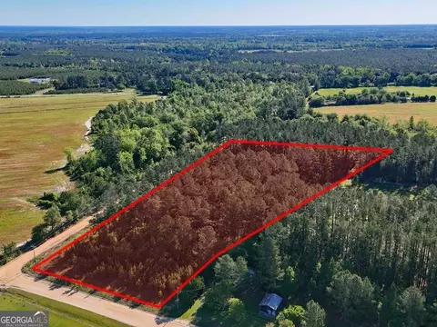 0 Will Smith Rd, Broxton, GA 31519 photo 2