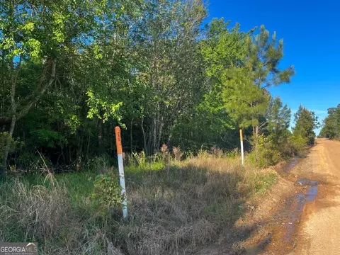 0 Will Smith Rd, Broxton, GA 31519 photo 15