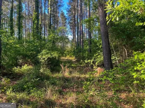 0 Will Smith Rd, Broxton, GA 31519 photo 11