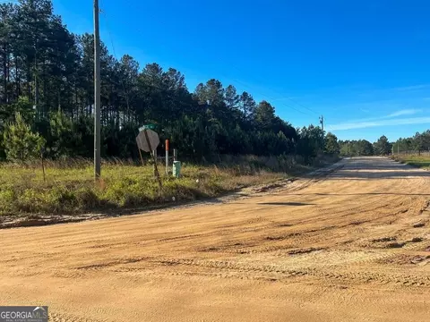 0 Will Smith Rd, Broxton, GA 31519 photo 8