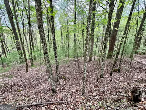 3409 Ashley Dr, Ellijay, GA 30540
