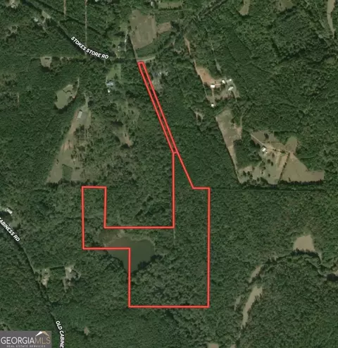 0 Stokes Store Rd, Forsyth, GA 31029 photo 8