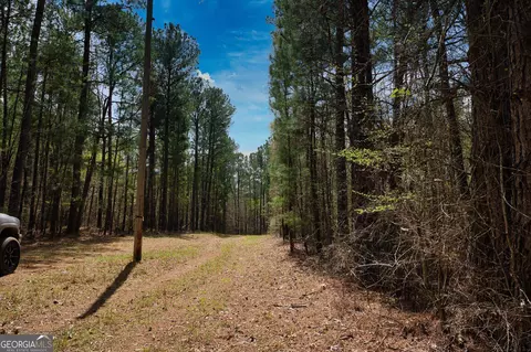 0 Stokes Store Rd, Forsyth, GA 31029 photo 5