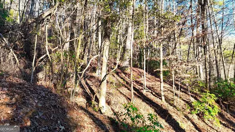 0 E Boggs Mountain Rd, Tiger, GA 30576 photo 18