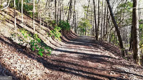 0 E Boggs Mountain Rd, Tiger, GA 30576 photo 9