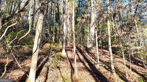 0 E Boggs Mountain Rd, Tiger, GA 30576 photo 17