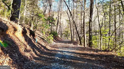 0 E Boggs Mountain Rd, Tiger, GA 30576 photo 22