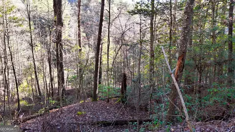 0 E Boggs Mountain Rd, Tiger, GA 30576 photo 12